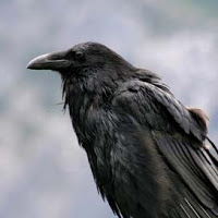 the_raven