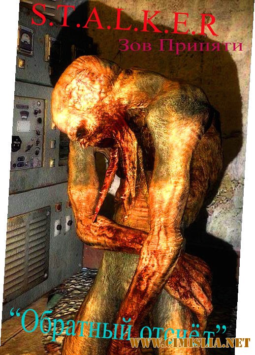 S.T.A.L.K.E.R. - Зов Припяти Обратный отсчёт [2010 / Только русский]