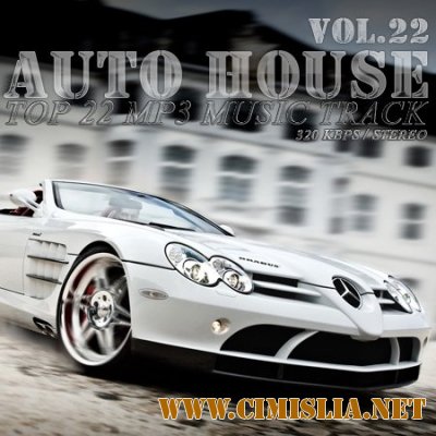 Auto House vol.22 [2010 / MP3 / 320 kb]
