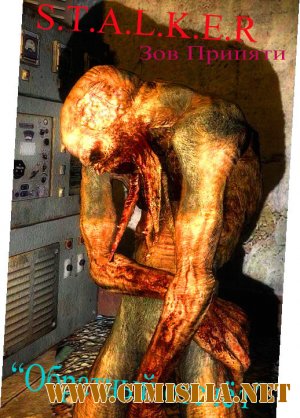 S.T.A.L.K.E.R. - Зов Припяти Обратный отсчёт [2010 / Только русский]