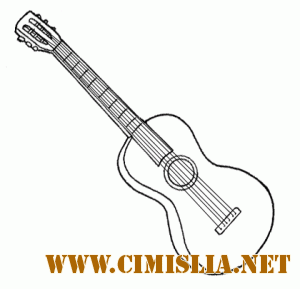 Lectii de ghitara [2009 / RO]