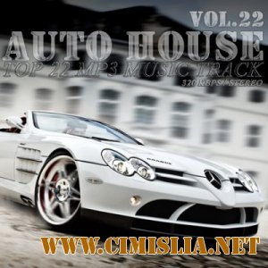 Auto House vol.22 [2010 / MP3 / 320 kb]