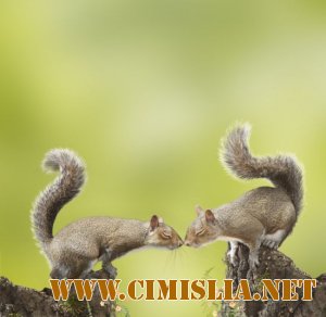 Фотоподборка