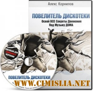 Повелитель Дискотеки [2010 / DVDRip]