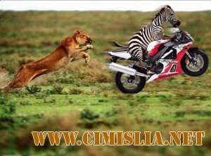 Фотоподборка