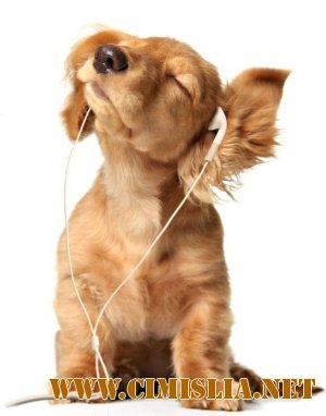 Фотоподборка