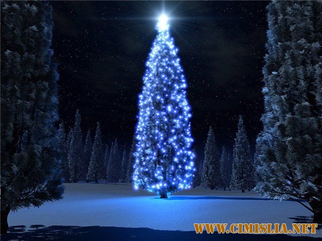 Новогодние скринсейверы. [2010]