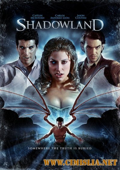 Царство теней / Shadowland [2010 / DVDRip]