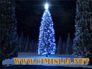 Новогодние скринсейверы. [2010]