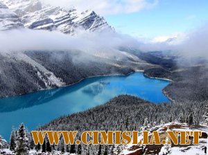 Красота природы