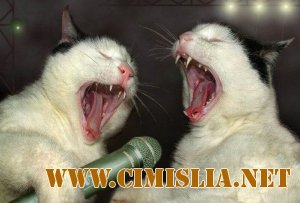 Фотоподборка