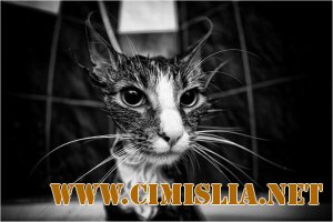 Фотоподборка