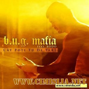 B.U.G.Mafia ft Bodo-Cat Poti Tu De Tare [2010 / HD XviD]