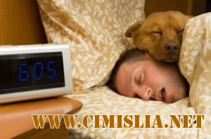 Фотоподборка