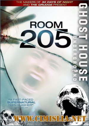 Комната 205 / Room 205 / Kollegiet [2007 / DVDRip]