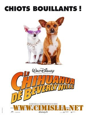 Крошка из Беверли-Хиллз 2 / Beverly Hills Chihuahua 2 [2011 /  DVDRip]