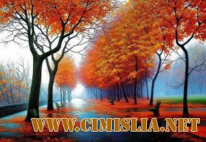 Фотоподборка