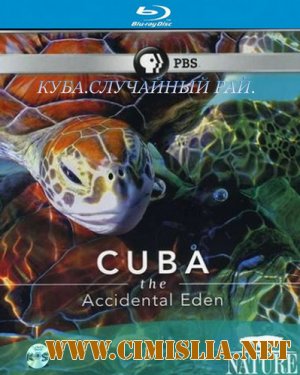 Куба.Случайный рай / Cuba.The Accidental Eden [2010 / HDRip]