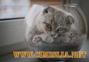 Фотоподборка