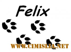 Felix [2006]