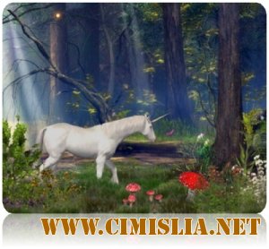 Коллекция скринсейверов на тему природы [2010]