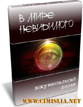 В мире невидимого [2011 / HDRip]