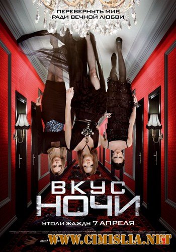 Вкус ночи / Wir sind die Nacht [2010 / HDRip]