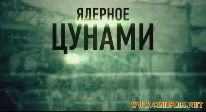 Ядерное цунами [2011 / SatRip]
