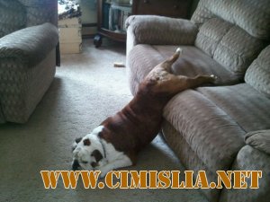 Фотоподборка