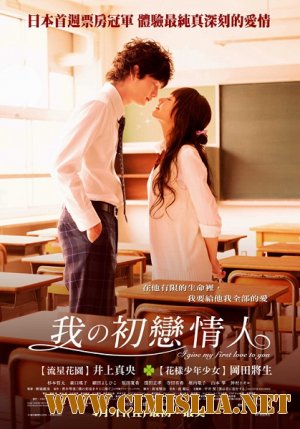 Я дарю тебе свою первую любовь / Boku no Hatsukoi wo Kimi ni Sasagu / I give my first love to you [2009 / DVDRip]