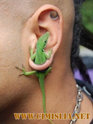 Фотоподборка