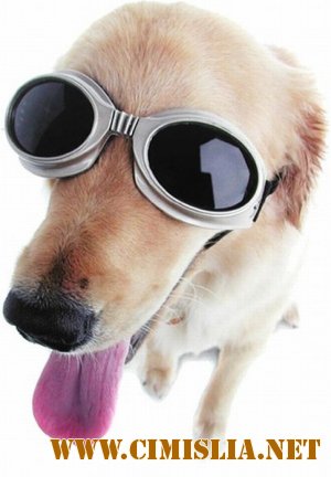 Фотоподборка