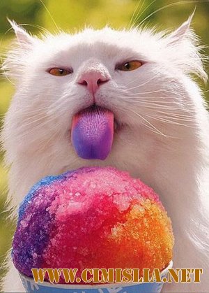 Фотоподборка