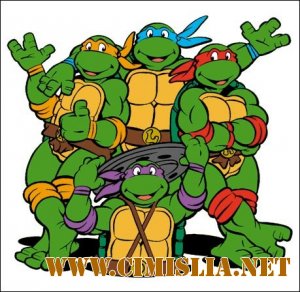 Черепашки ниндзя [все 10 сезонов] / Ninja Turtles[1987 / TVRip]