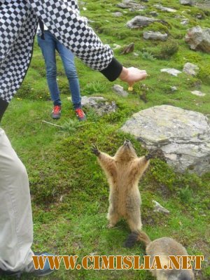 Фотоподборка