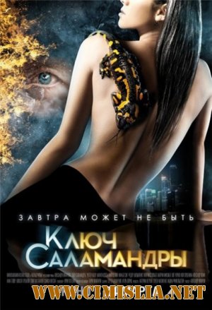 Ключ Саламандры [2011 / DVDRip | лицензия]