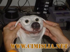 Фотоподборка