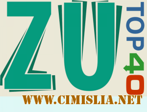 Top 40 Radio ZU [Aprilie] [2011 / MP3 / 192 kb]