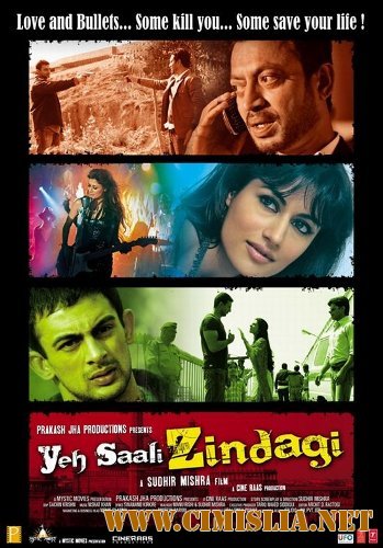 Эта дурацкая жизнь / Yeh saali zindagi [2011 / DVDRip]