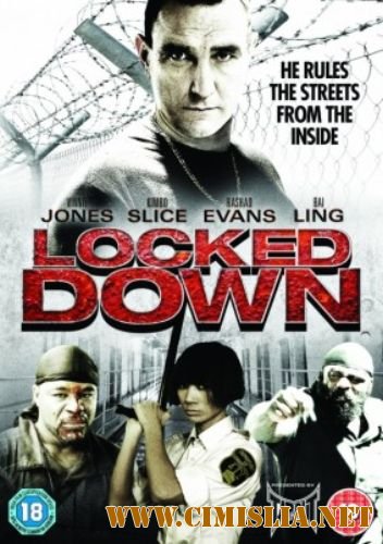 Взаперти / Locked Down [2010 / HDRip]