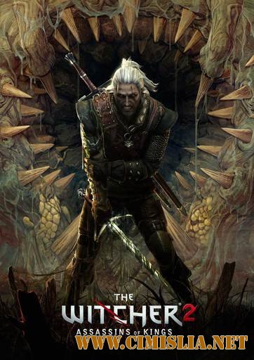 Ведьмак 2: Убийцы королей / The Witcher 2: Assassins of Kings [v 3.2.1.0 + 13 DLC] [RePack] [2011 / RUS]