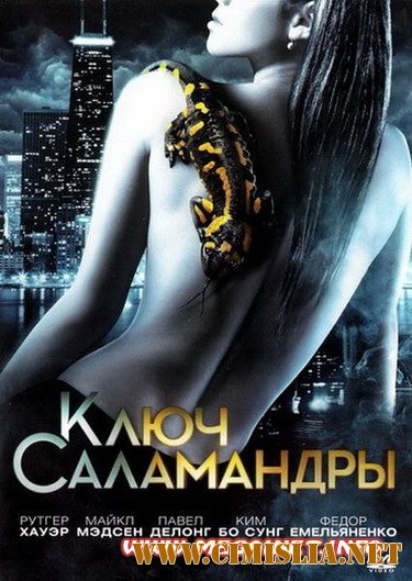 Ключ Саламандры [2011 / HDRip | лицензия]