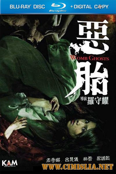 Призраки чрева / Ngok toi / Womb Ghosts [2010 / HDRip]