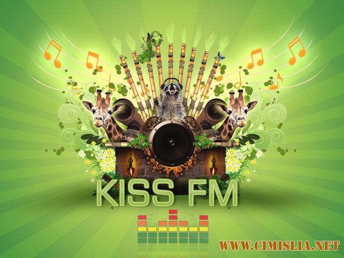 Kiss FM RO - Top 40 Mai [2011 / MP3 / 192 kb]