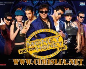 Деньги решают всё / Money Hai Toh Honey Hai [2008 / DVDRip]