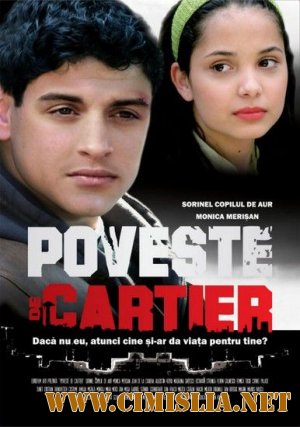 Poveste de cartier [2008 / DVDRip]
