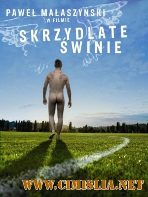 Крылатые свиньи / Skrzydlate Swinie [2010 / DVDRip]