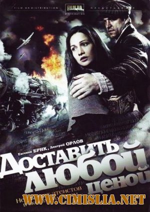 Доставить любой ценой [4 серии из 4] [2011 / SatRip]