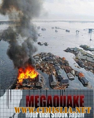 Небывалое землетрясение: Час, который потряс Японию / MegaQuake: Hour that Shook Japan [2011 / SatRip]