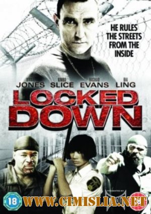 Взаперти / Locked Down [2010 / HDRip]